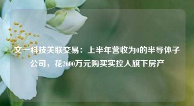 文一科技关联交易：上半年营收为0的半导体子公司，花2600万元购买实控人旗下房产