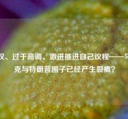 越权、过于高调、激进推进自己议程——马斯克与特朗普圈子已经产生裂痕？