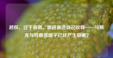 越权、过于高调、激进推进自己议程——马斯克与特朗普圈子已经产生裂痕？