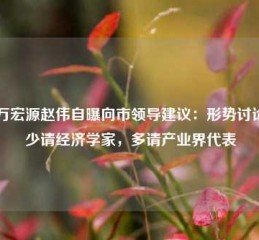 申万宏源赵伟自曝向市领导建议：形势讨论会少请经济学家，多请产业界代表