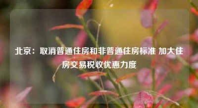 北京：取消普通住房和非普通住房标准 加大住房交易税收优惠力度