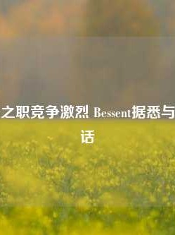 美国财长之职竞争激烈 Bessent据悉与马斯克通话