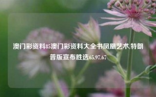 澳门彩资料85澳门彩资料大全书凤凰艺术,特朗普版宣布胜选65.97.67