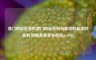 澳门网站在资料澳门网站资料马报资料最准的资料,特朗普版宣布胜选65.97.87