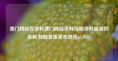 澳门网站在资料澳门网站资料马报资料最准的资料,特朗普版宣布胜选65.97.87