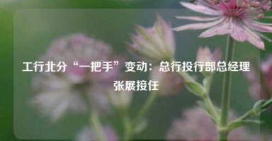 工行北分“一把手”变动：总行投行部总经理张展接任