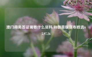 澳门商务签证需要什么资料,特朗普版宣布胜选65.97.26