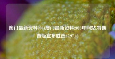 澳门最新资料2003澳门最新资料2023年网站,特朗普版宣布胜选65.97.43