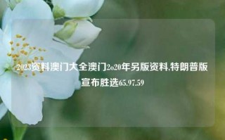 2023资料澳门大全澳门2o20年另版资料,特朗普版宣布胜选65.97.59