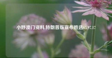 小妤澳门资料,特朗普版宣布胜选65.97.17