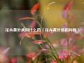 花卉黄叶病用什么药（花卉黄叶原因判断）