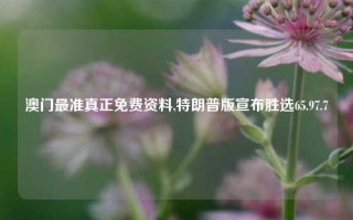 澳门最准真正免费资料,特朗普版宣布胜选65.97.7