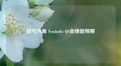 扭亏为盈 Symbolic Q4业绩超预期