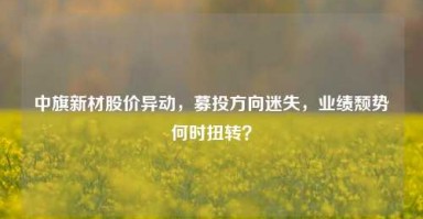 中旗新材股价异动，募投方向迷失，业绩颓势何时扭转？