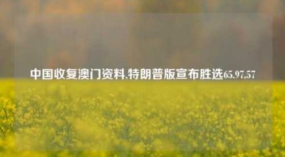 中国收复澳门资料,特朗普版宣布胜选65.97.57