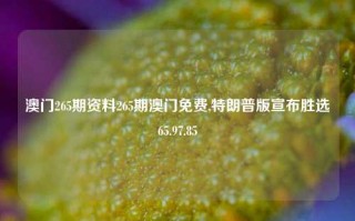 澳门265期资料265期澳门免费,特朗普版宣布胜选65.97.85