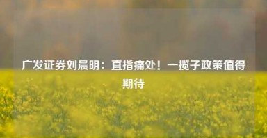 广发证券刘晨明：直指痛处！一揽子政策值得期待