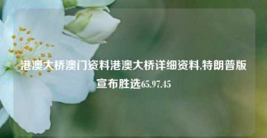 港澳大桥澳门资料港澳大桥详细资料,特朗普版宣布胜选65.97.45