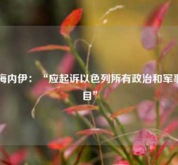 哈梅内伊：“应起诉以色列所有政治和军事头目”