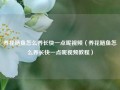 养花鲢鱼怎么养长快一点呢视频（养花鲢鱼怎么养长快一点呢视频教程）