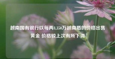 越南国有银行以每两8,350万越南盾的价格出售黄金 价格较上次有所下调