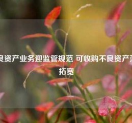 不良资产业务迎监管规范 可收购不良资产范围拓宽