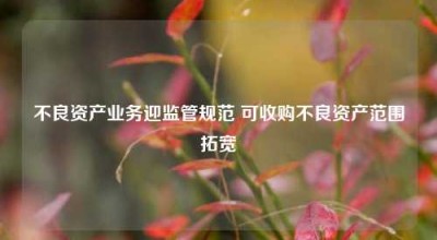 不良资产业务迎监管规范 可收购不良资产范围拓宽