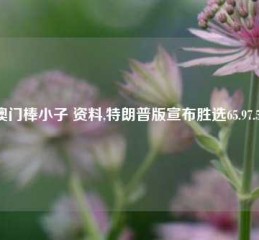 澳门棒小子 资料,特朗普版宣布胜选65.97.55