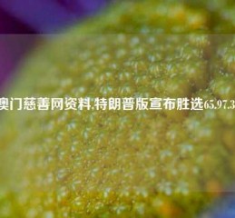 澳门慈善网资料,特朗普版宣布胜选65.97.35