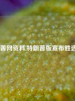 澳门慈善网资料,特朗普版宣布胜选65.97.35