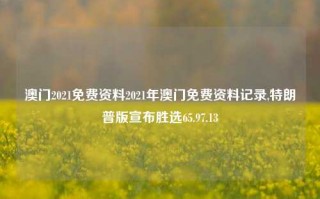 澳门2021免费资料2021年澳门免费资料记录,特朗普版宣布胜选65.97.13