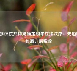 美参议院共和党确定明年立法次序：先边境、能源，后税收