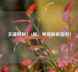 关键时刻！A股，突现积极指引！