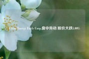 Clean Energy Fuels Corp.盘中异动 股价大跌5.00%