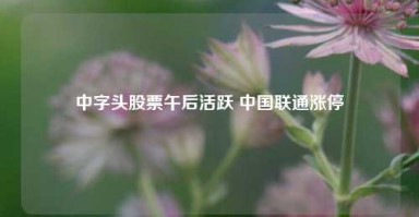 中字头股票午后活跃 中国联通涨停