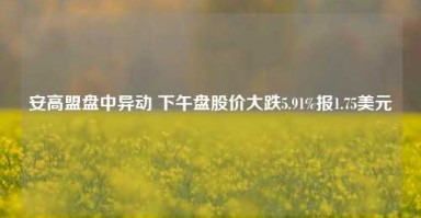 安高盟盘中异动 下午盘股价大跌5.91%报1.75美元