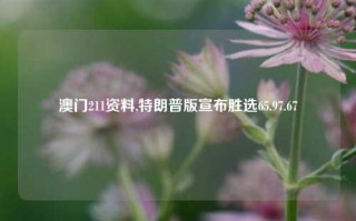 澳门211资料,特朗普版宣布胜选65.97.67