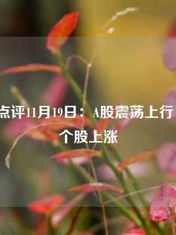 博时市场点评11月19日：A股震荡上行，超4500只个股上涨