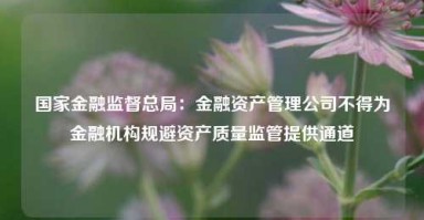 国家金融监督总局：金融资产管理公司不得为金融机构规避资产质量监管提供通道