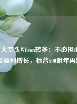 大摩著名大空头Wilson转多：不必担心高估值，降息及盈利增长，标普500明年再涨11%！