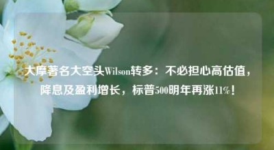 大摩著名大空头Wilson转多：不必担心高估值，降息及盈利增长，标普500明年再涨11%！