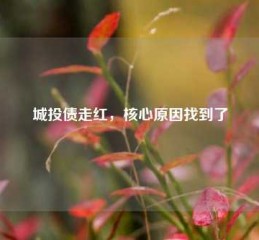 城投债走红，核心原因找到了