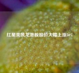 红星美凯龙港股股价大幅上涨50%