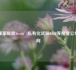 伊藤家族就Seven  i私有化试探KKR等投资公司意向