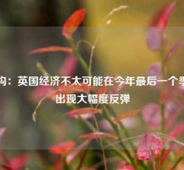 机构：英国经济不太可能在今年最后一个季度出现大幅度反弹