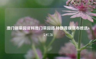 澳门新菜园资料澳门菜园路,特朗普版宣布胜选65.97.78