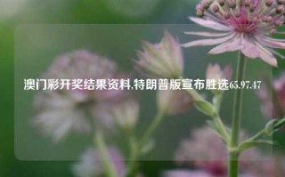 澳门彩开奖结果资料,特朗普版宣布胜选65.97.47