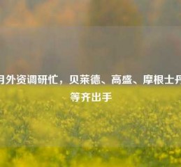 11月外资调研忙，贝莱德、高盛、摩根士丹利等齐出手