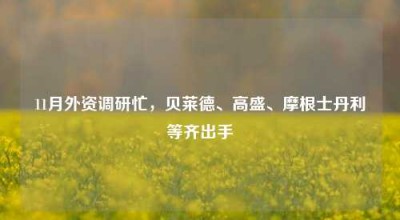 11月外资调研忙，贝莱德、高盛、摩根士丹利等齐出手