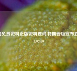 澳门免费资料正版资料查询,特朗普版宣布胜选65.97.69